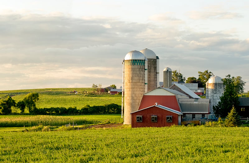 Farm House on Land
